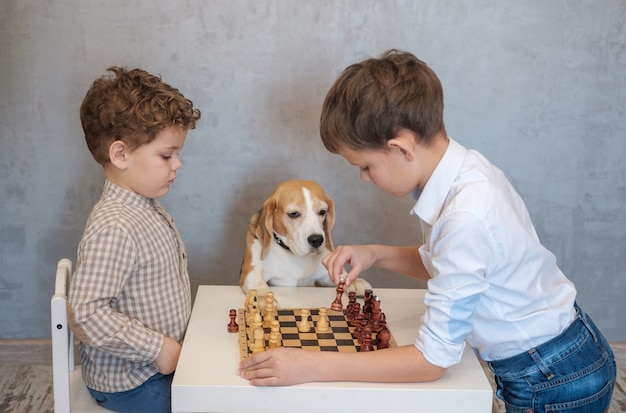Два мальчика играют в шахматы за столом. Бигль забавно наблюдает за игрой. Настольные игры в семейном кругу.