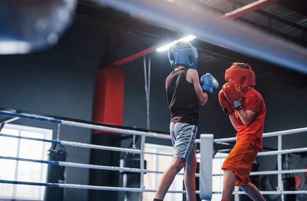 Two boys in protective equipment have sparring and fighting on the boxing ring.