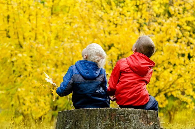 Two boys sitting on a tree stump in the autumn forest