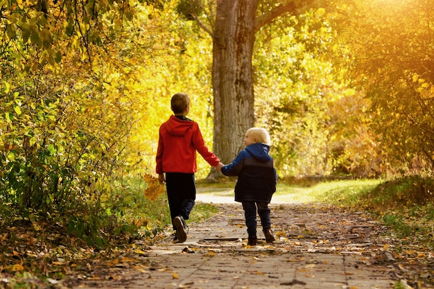 Due ragazzi che camminano nel parco autunnale giornata di sole vista posteriore