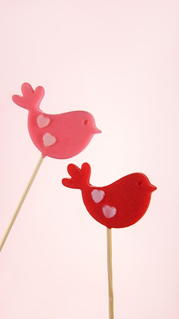 사진 분홍색 배경에 두 개의 밝은 새 모양의 릴리팝 달한 사랑 발렌타인 데이를 위한 수직 배너