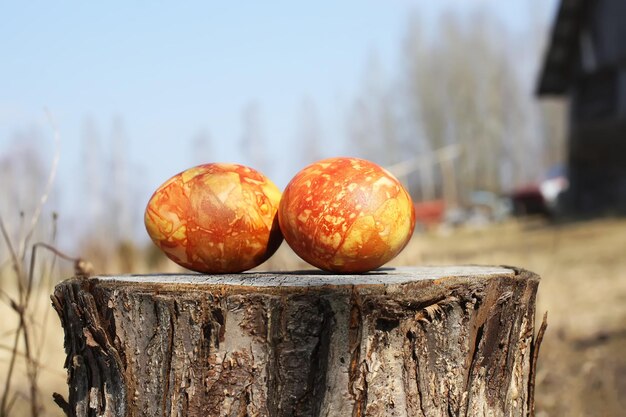 Two bright colorful easter eggs on the tree stump outdoors on spring nature background