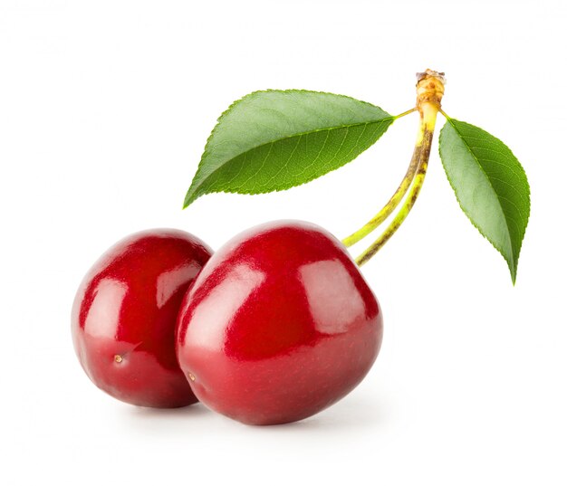 Two bright ripe cherries with leaves