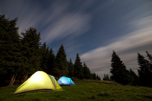 Due tende turistiche illuminate sulla radura verde della foresta erbosa tra alti pini sul cielo stellato blu scuro chiaro