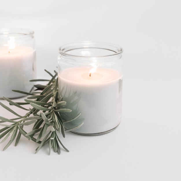 Two burning candles in glass candlesticks with plant