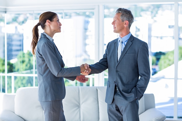 Two business workers shake hands 