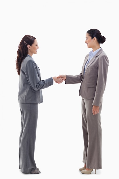 Two businesswomen shaking hands