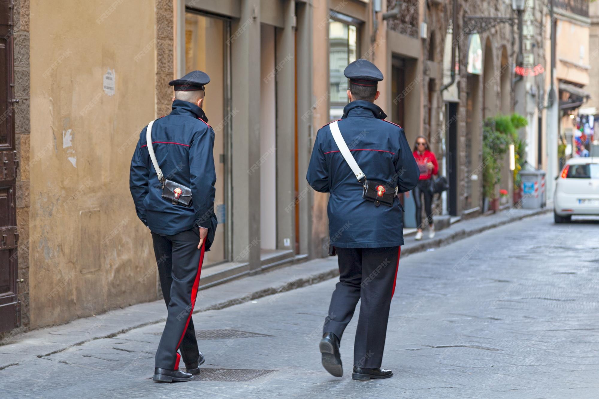 Laurea<br> in divisa