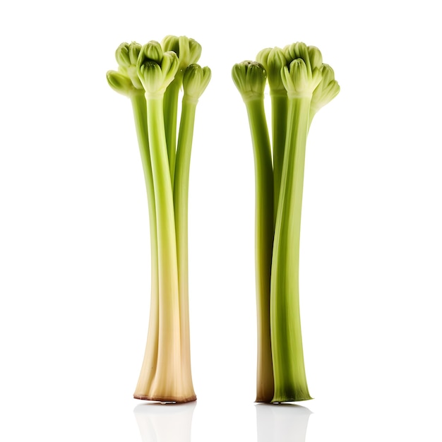 Two celery stalks are standing next to each other