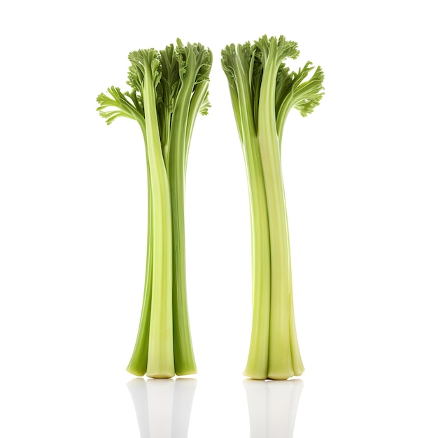 Two celery stalks are standing next to each other.