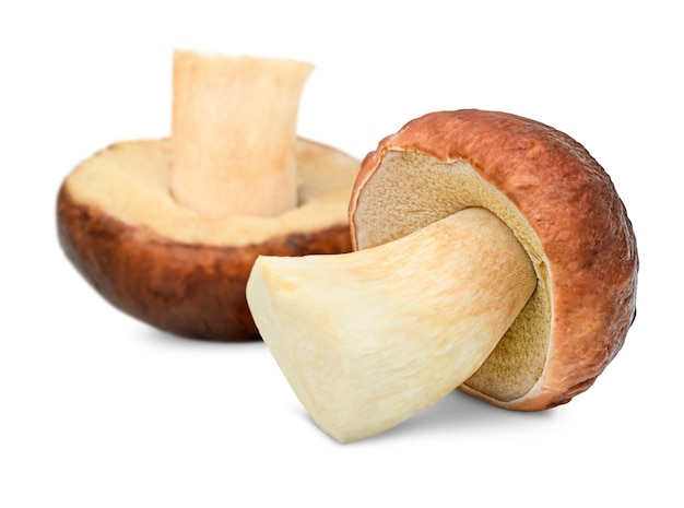 Two cep (porcini mushrooms) on isolated white background