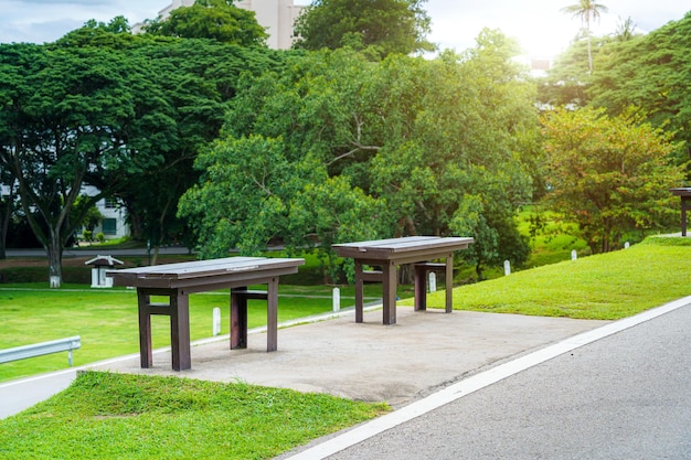 Два стула на зеленой траве в тоне Parkvivid в лесу природы Вид на горы весеннее облачное небо фон с белым облаком