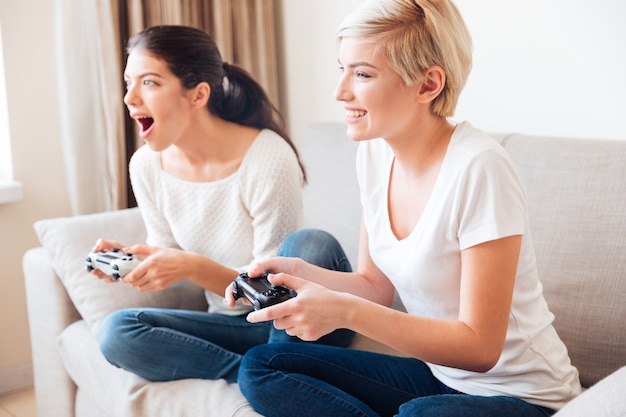 Two cheerful women playing video games with joystick