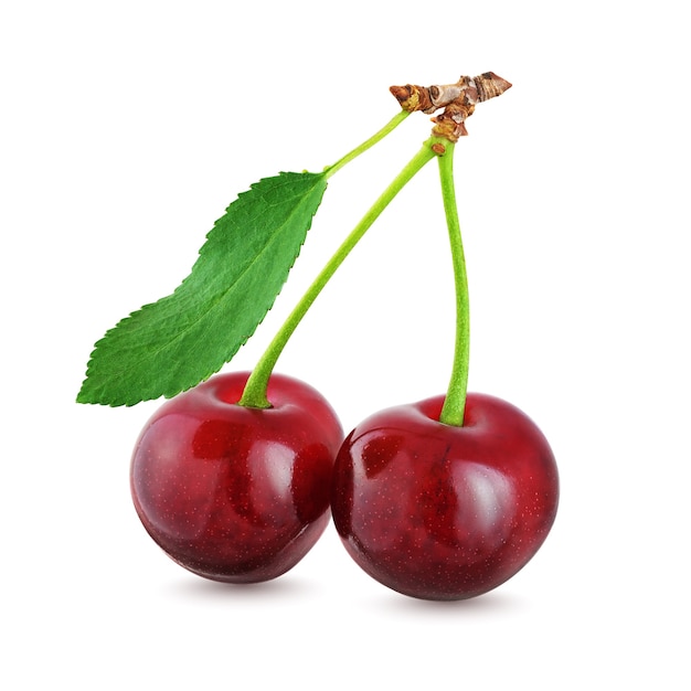 Two cherries with leaf isolated  