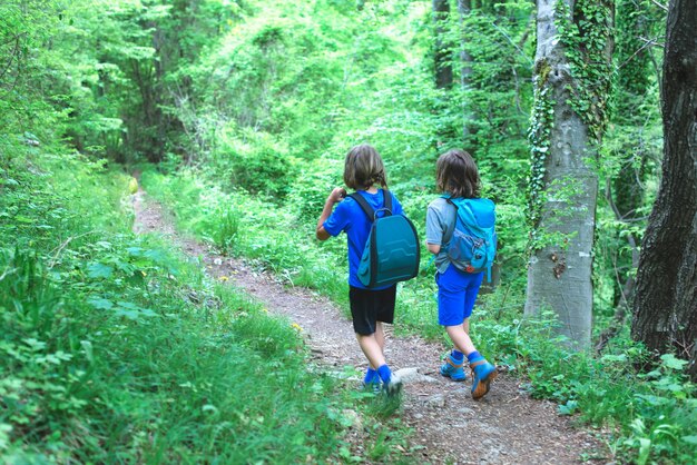 2人の子供が山道を歩いています