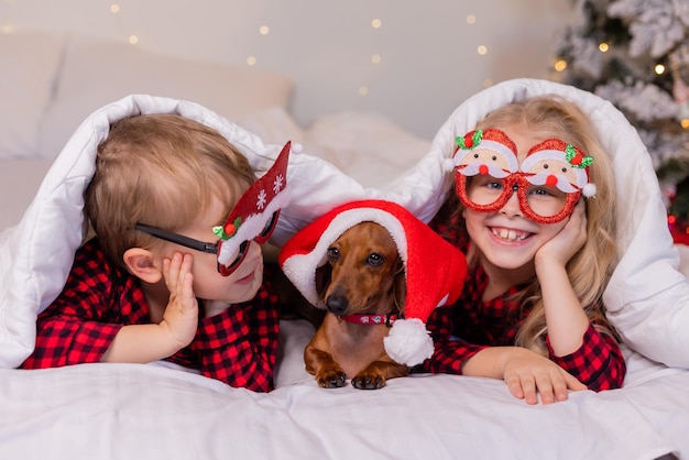 男の子と女の子の 2 人の子供が、クリスマスに愛するペットと一緒にベッドに横たわっています。