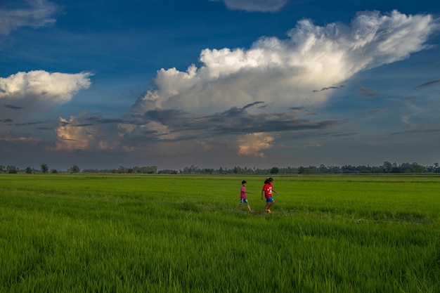 写真 赤いシャツを着た2人の子供が牧草地を歩いています。