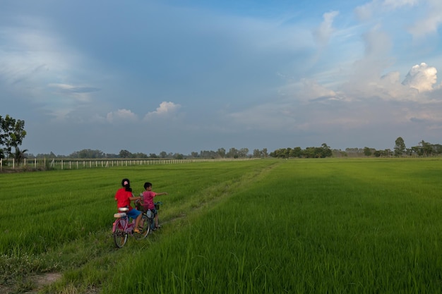 赤いシャツを着た2人の子供が牧草地で自転車に乗っています。