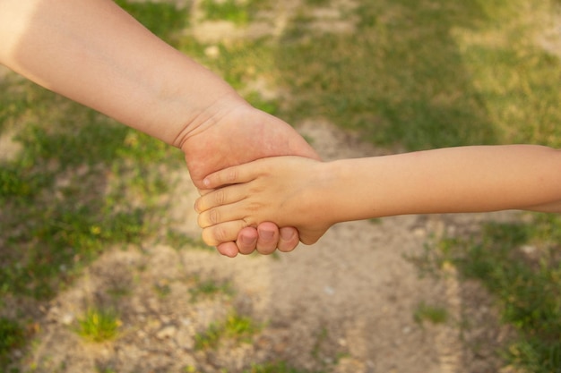 Two children's hands holding hands Against the background of grass