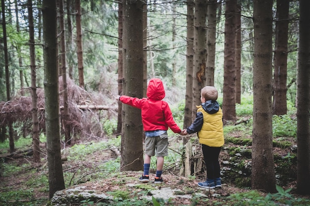Two children together by the hand in the forest - two brothers walking in the forest on the pathway