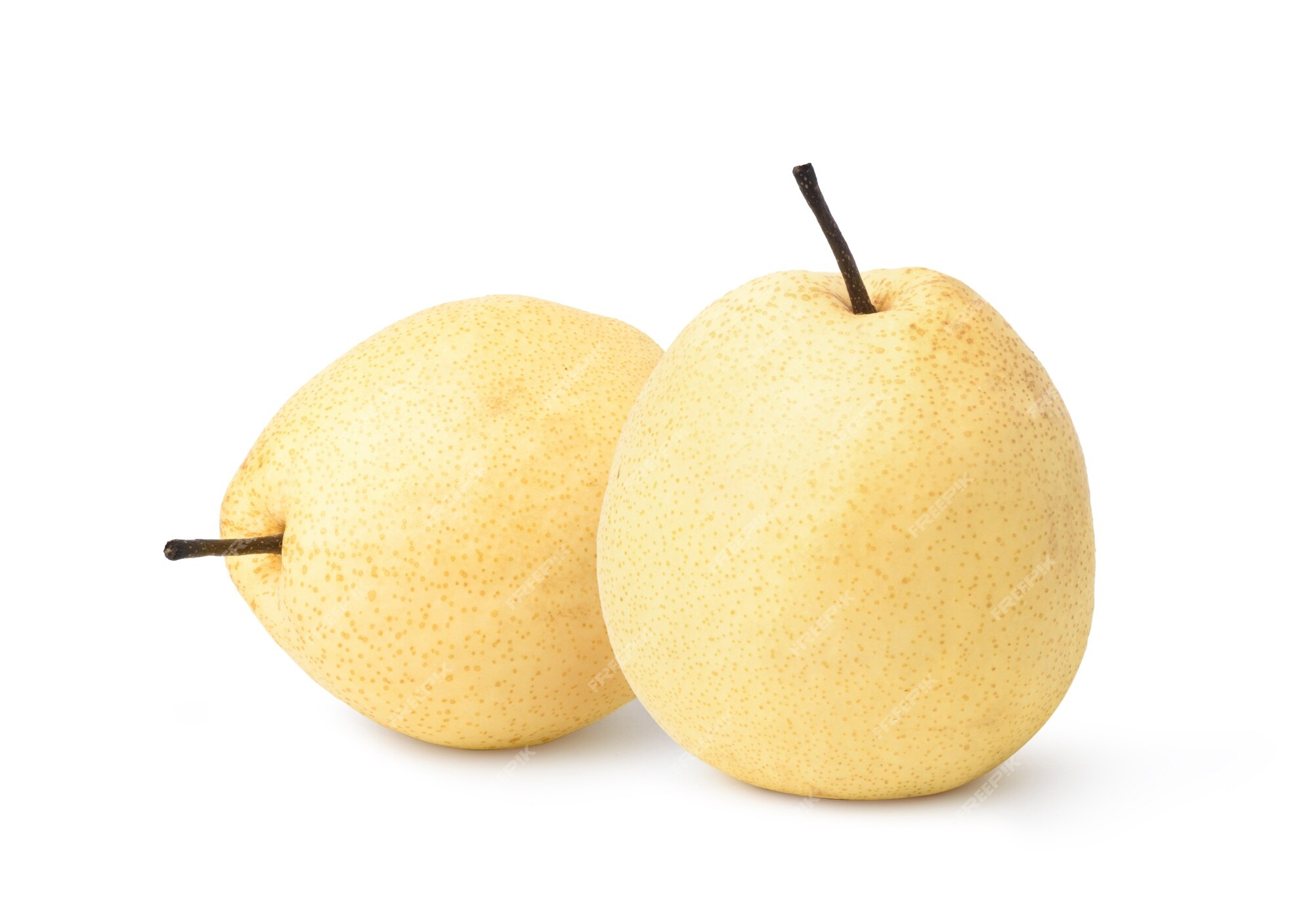 Chinese Pear Images | Free Vectors, Stock Photos & PSD | Page 10