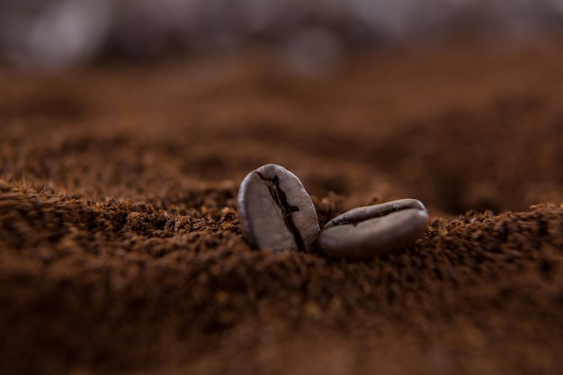 Two coffee beans on roasted coffee heap