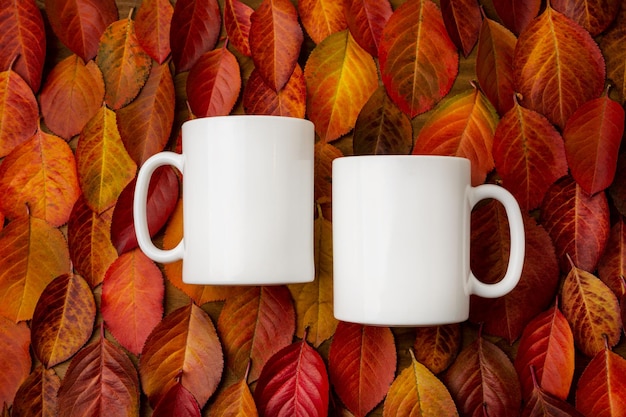 Two coffee white mugs on the red fall leaves background mockup. Empty mug mock up for design promotion, styled template