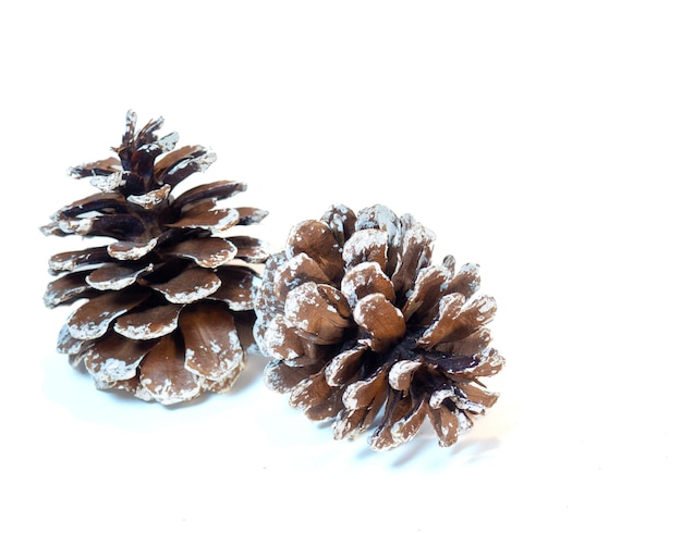 Two cones on a white background