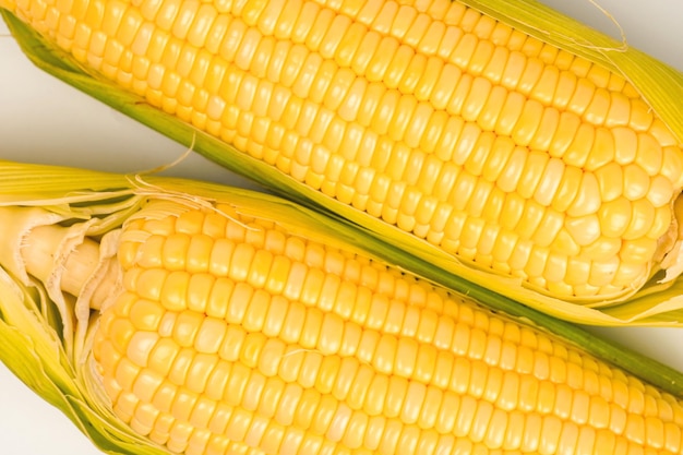 Two corn cobs on a table