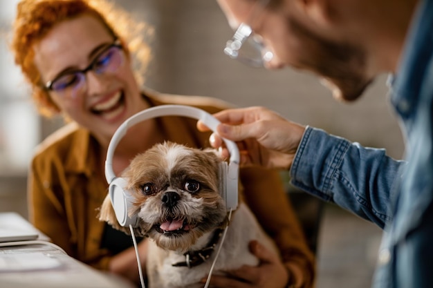 Two coworkers having fun with a dog while giving him headphones in the office Focus is on dog