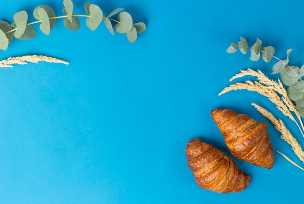 Two Croissants and eucalyptus leaves on Blue background