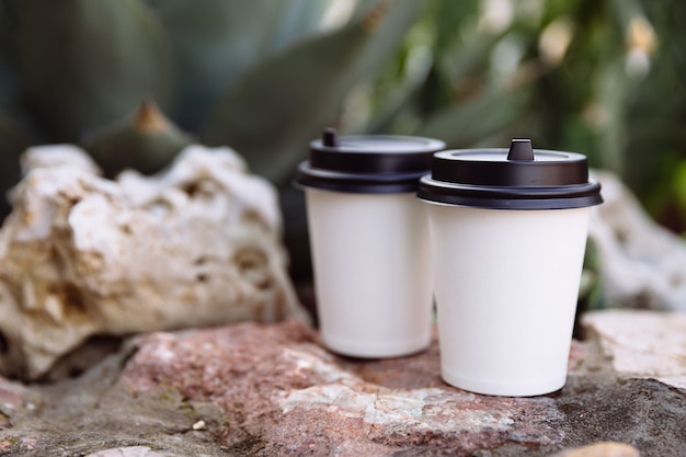 Foto due tazze di caffè per andare tazze in carta bianca sulle pietre dietro le pietre crescono un cactus