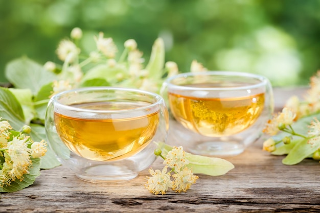 Two cups of healthy linden tea herbal medicine