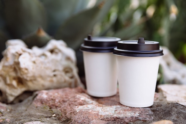 Фото Две чашки кофе на вынос чашки из белой бумаги на камнях за камнями растут кактус