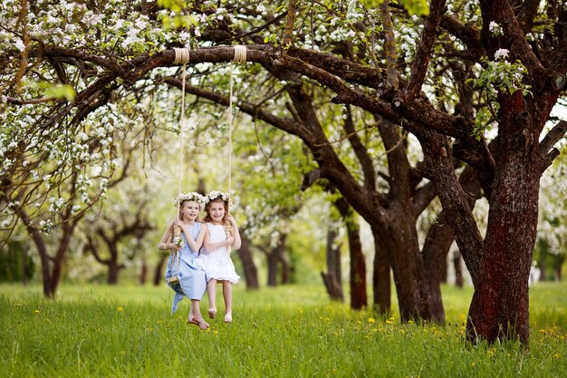 Two cute girls having fun on a swing in blossoming old apple tree garden. Sunny day. Spring outdoor activities for kids