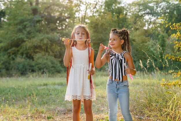 Two cute girls with pigtails are playing in the Park blowing up soap bubbles.