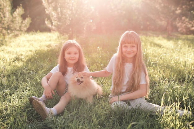 Two cute kid girls playing with domestic pet dog sitting on green grass