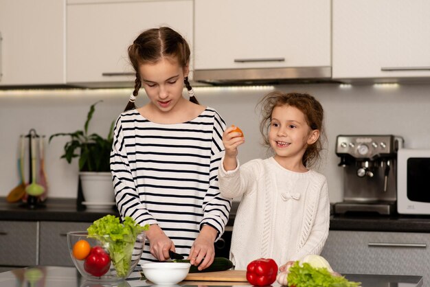 2人のかわいい姉妹の女の子が新鮮な野菜からサラダを切りました。健康食品。子供時代。