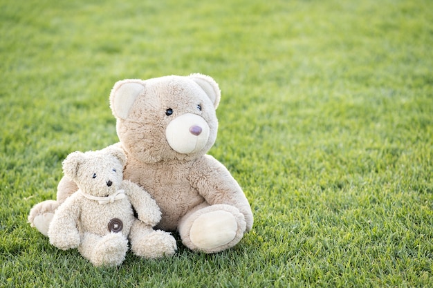 Two cute teddy bear toys sitting together on green grass in summer.