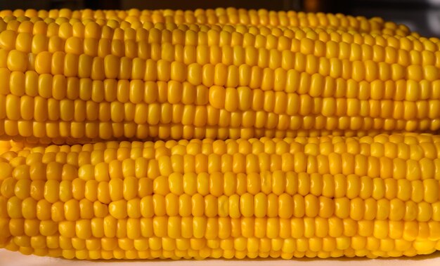 Two delicious yellow ears of boiled corn under the summer sun.