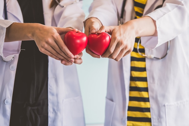 Фото Два врача держит красное сердце, концепция здравоохранения.