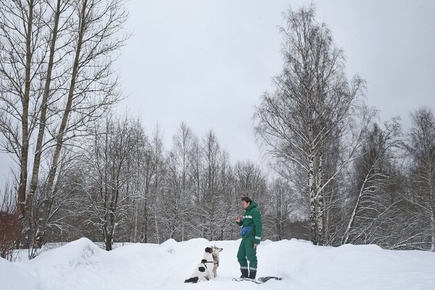 Two dogs walk outdoors in winter with an owner