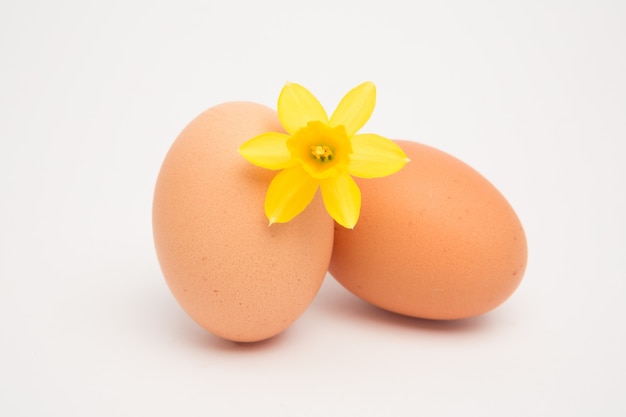 Two eggs and a yellow daffodil