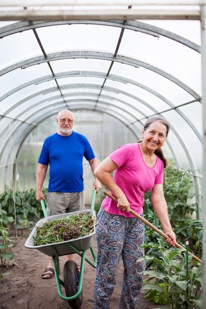 Two elderly people in   greenhouse with garden accessories