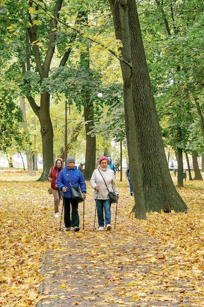 Photo two elderly women are engaged in nordic walking in the park and among the trees scandinavian walking