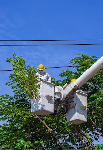 Two electricians in bucket crane truck cutting tree branches\
for safety of electrical system