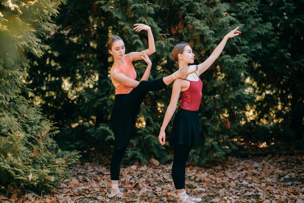 Two elegant ballerinas posing unusually in park