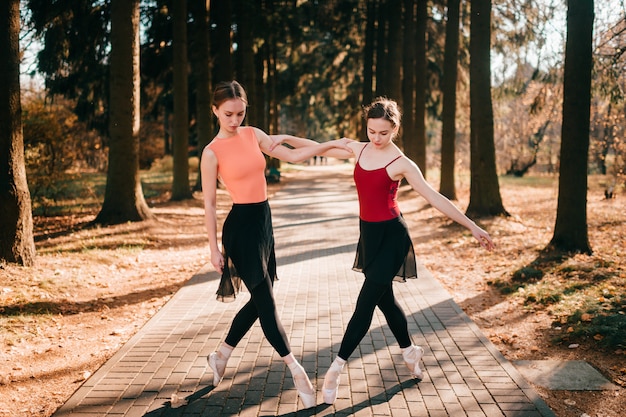 Two elegant female ballet dancers stretching out and in park valley