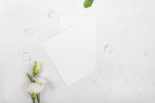 Two empty card mockup with blooming white eustoma lisianthus flowers