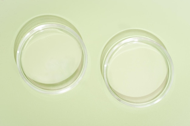 Two empty petri dishes on green background copy space medical\
or pharmaceutical laboratory equipment study and research in\
biotechnology and health care product development top view